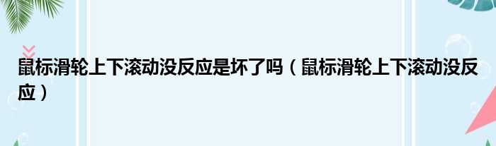 鼠标滑轮上下滚动没反应是坏了吗（鼠标滑轮上下滚动没反应）