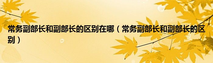 常务副部长和副部长的区别在哪（常务副部长和副部长的区别）