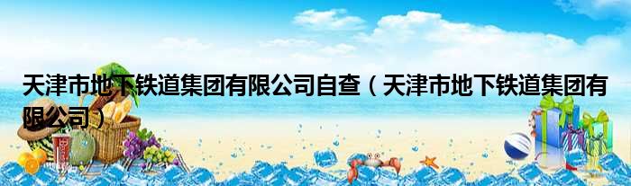 天津市地下铁道集团有限公司自查（天津市地下铁道集团有限公司）