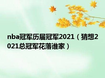 nba冠军历届冠军2021（猜想2021总冠军花落谁家）