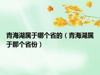 青海湖属于哪个省的（青海湖属于那个省份）