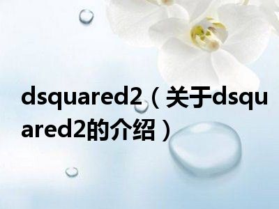 dsquared2（关于dsquared2的介绍）