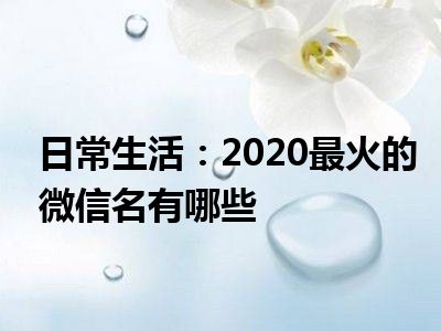 日常生活：2020最火的微信名有哪些