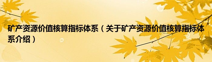  矿产资源价值核算指标体系（关于矿产资源价值核算指标体系介绍）