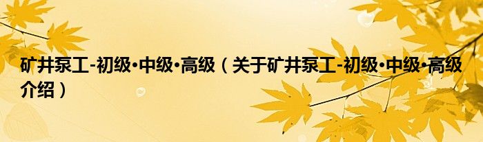  矿井泵工-初级·中级·高级（关于矿井泵工-初级·中级·高级介绍）