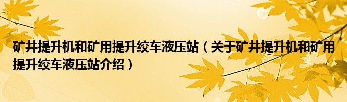  矿井提升机和矿用提升绞车液压站（关于矿井提升机和矿用提升绞车液压站介绍）