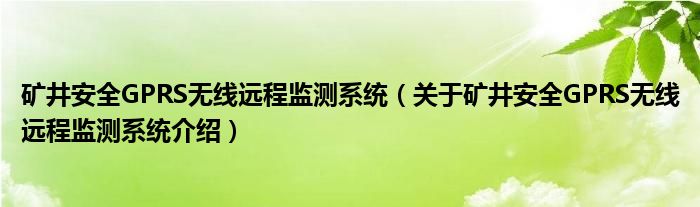  矿井安全GPRS无线远程监测系统（关于矿井安全GPRS无线远程监测系统介绍）