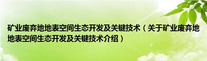  矿业废弃地地表空间生态开发及关键技术（关于矿业废弃地地表空间生态开发及关键技术介绍）