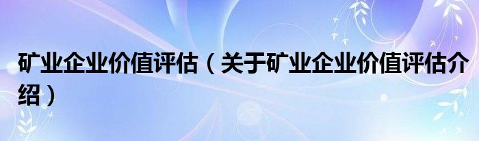  矿业企业价值评估（关于矿业企业价值评估介绍）