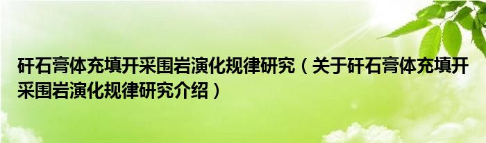  矸石膏体充填开采围岩演化规律研究（关于矸石膏体充填开采围岩演化规律研究介绍）