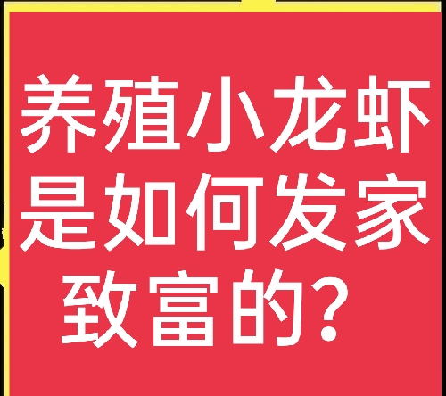 养殖小龙虾要投资多少（养龙虾一亩地纯利多少钱）