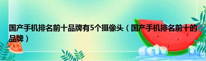 国产手机排名前十品牌有5个摄像头（国产手机排名前十的品牌）