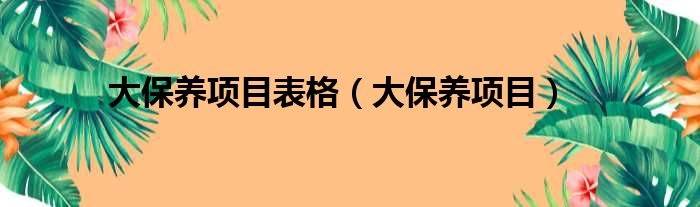 大保养项目表格（大保养项目）