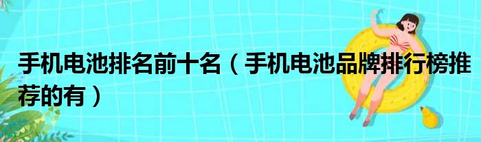 手机电池排名前十名（手机电池品牌排行榜推荐的有）