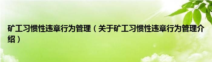  矿工习惯性违章行为管理（关于矿工习惯性违章行为管理介绍）