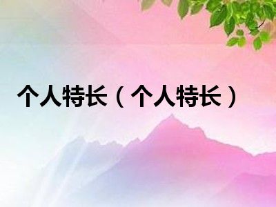 个人特长（个人特长）