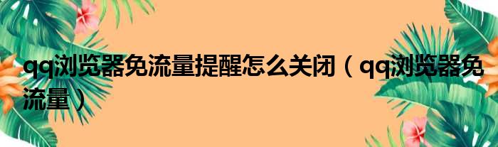 qq浏览器免流量提醒怎么关闭（qq浏览器免流量）