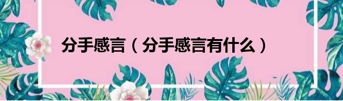 分手感言（分手感言有什么）