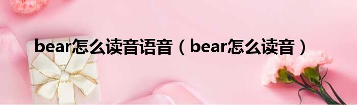 bear怎么读音语音（bear怎么读音）