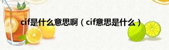 cif是什么意思啊（cif意思是什么）