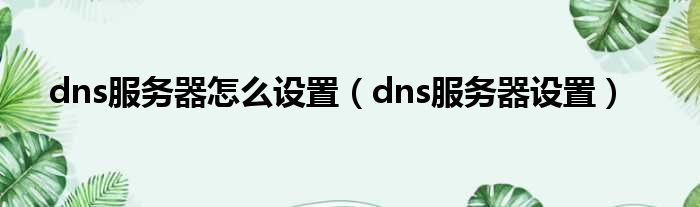 dns服务器怎么设置（dns服务器设置）