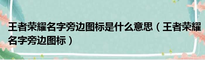 王者荣耀名字旁边图标是什么意思（王者荣耀名字旁边图标）