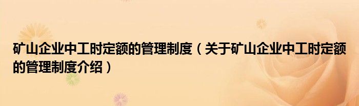  矿山企业中工时定额的管理制度（关于矿山企业中工时定额的管理制度介绍）