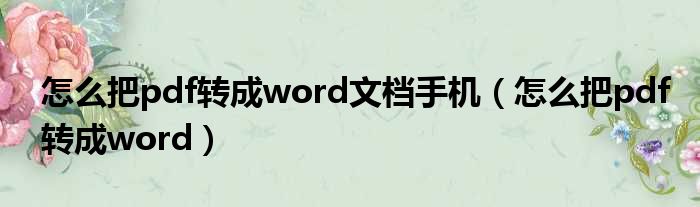 怎么把pdf转成word文档手机（怎么把pdf转成word）