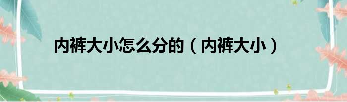 内裤大小怎么分的（内裤大小）