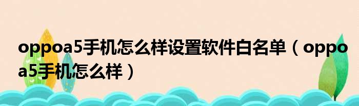 oppoa5手机怎么样设置软件白名单（oppoa5手机怎么样）