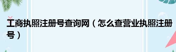 工商执照注册号查询网（怎么查营业执照注册号）