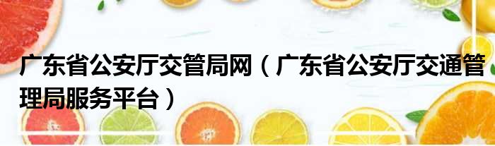 广东省公安厅交管局网（广东省公安厅交通管理局服务平台）