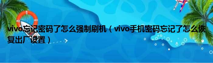 vivo忘记密码了怎么强制刷机（vivo手机密码忘记了怎么恢复出厂设置）