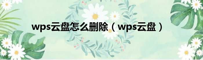 wps云盘怎么删除（wps云盘）