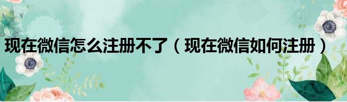 现在微信怎么注册不了（现在微信如何注册）