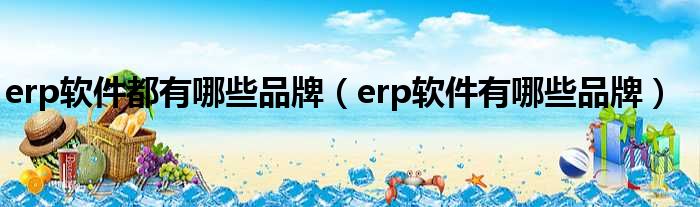 erp软件都有哪些品牌（erp软件有哪些品牌）