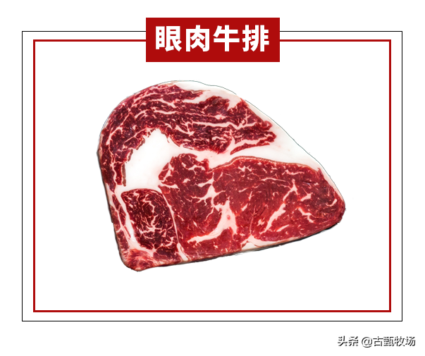 做牛排最好的肉哪个部位（牛排肉是哪个部位的肉）(图6)