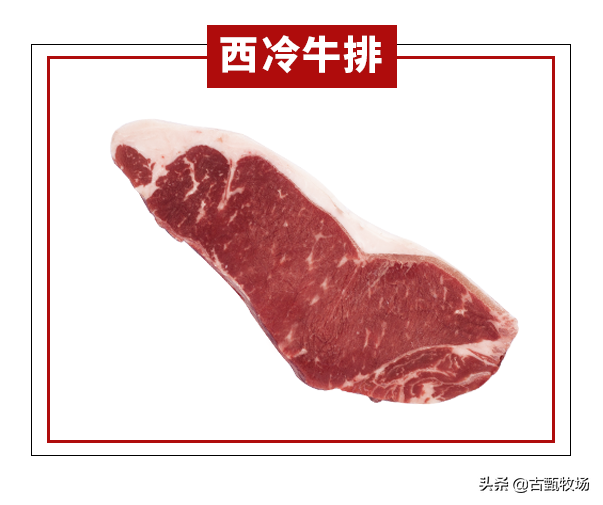 做牛排最好的肉哪个部位（牛排肉是哪个部位的肉）(图10)