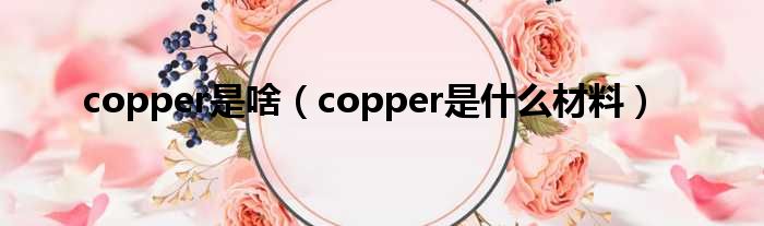 copper是啥（copper是什么材料）