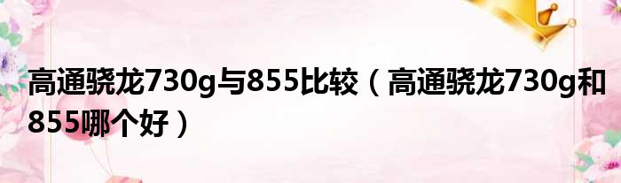 高通骁龙730g与855比较（高通骁龙730g和855哪个好）