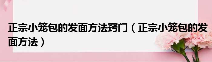 正宗小笼包的发面方法窍门（正宗小笼包的发面方法）