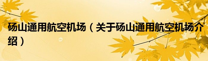  砀山通用航空机场（关于砀山通用航空机场介绍）