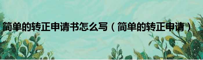 简单的转正申请书怎么写（简单的转正申请）