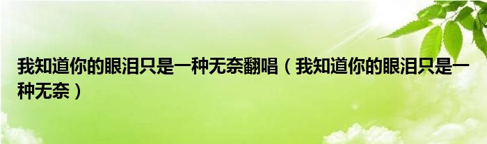 我知道你的眼泪只是一种无奈翻唱（我知道你的眼泪只是一种无奈）