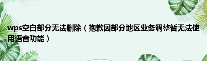 wps空白部分无法删除（抱歉因部分地区业务调整暂无法使用语音功能）