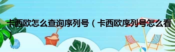 卡西欧怎么查询序列号（卡西欧序列号怎么看）