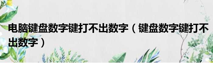 电脑键盘数字键打不出数字（键盘数字键打不出数字）