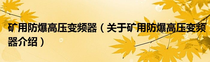  矿用防爆高压变频器（关于矿用防爆高压变频器介绍）