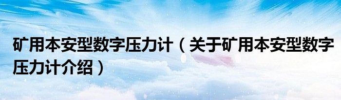  矿用本安型数字压力计（关于矿用本安型数字压力计介绍）