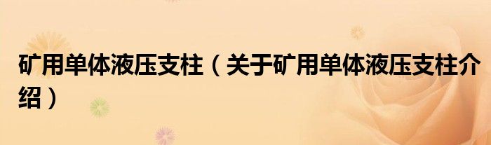  矿用单体液压支柱（关于矿用单体液压支柱介绍）